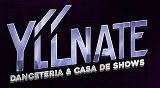 Yllnate Logo